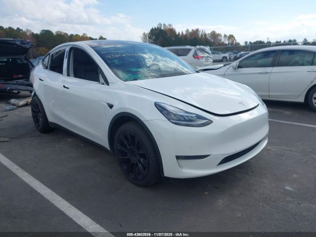 2020 TESLA MODEL Y 5YJYGDEE7LF008936