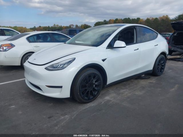 2020 TESLA MODEL Y 5YJYGDEE7LF008936 Photo 1