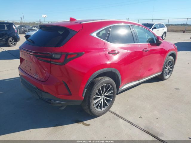 2024 LEXUS NX 350 2T2GGCEZ0RC045294 Photo 3