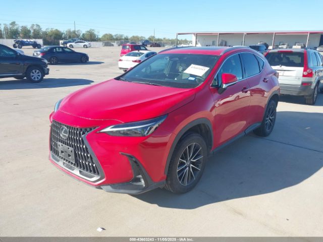 2024 LEXUS NX 350 2T2GGCEZ0RC045294 Photo 5