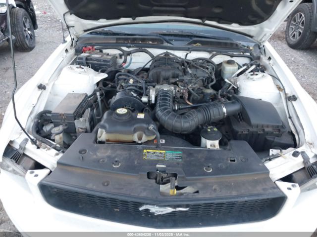 2005 FORD MUSTANG 1ZVFT80N955115957 Photo 9