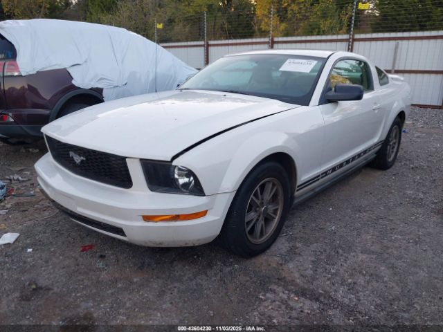 2005 FORD MUSTANG 1ZVFT80N955115957 Photo 1