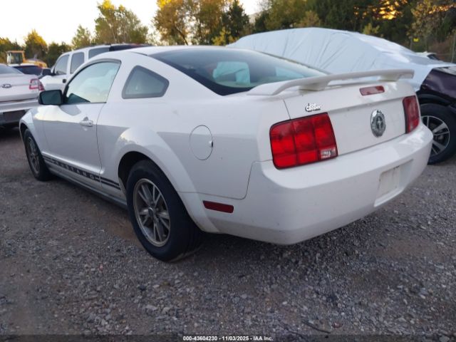 2005 FORD MUSTANG 1ZVFT80N955115957 Photo 2