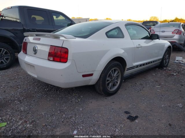 2005 FORD MUSTANG 1ZVFT80N955115957 Photo 3