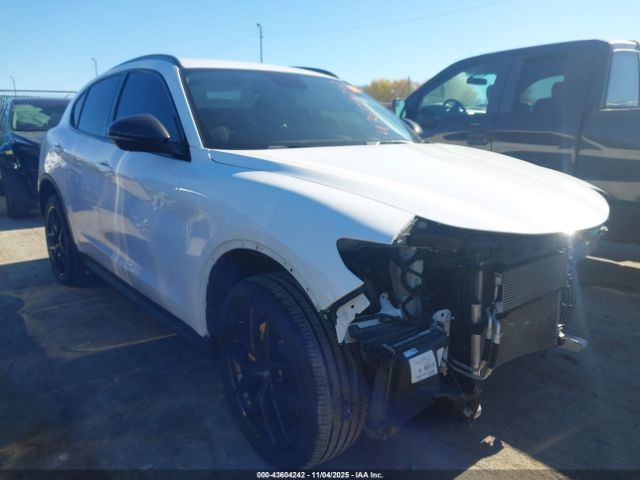 2019 ALFA ROMEO STELVIO ZASPAJAN6K7C68905