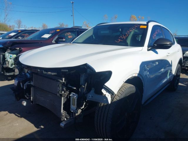 2019 ALFA ROMEO STELVIO ZASPAJAN6K7C68905 Photo 1