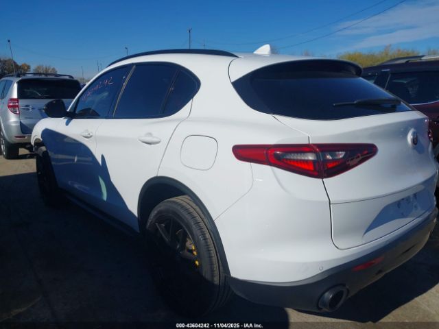 2019 ALFA ROMEO STELVIO ZASPAJAN6K7C68905 Photo 2