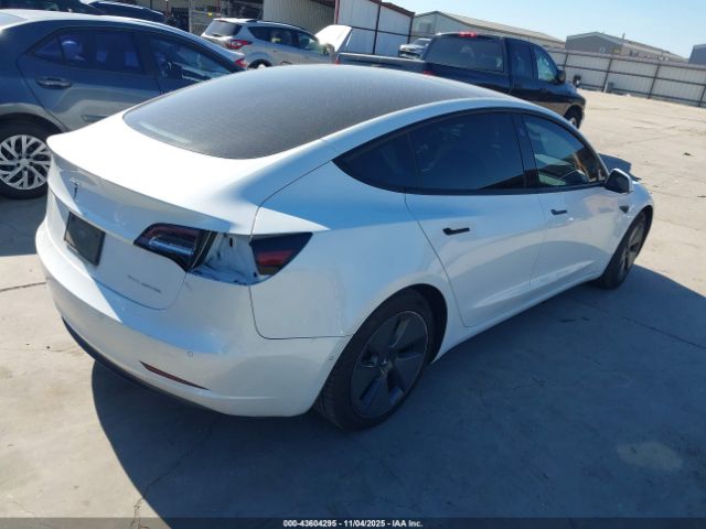 2021 TESLA MODEL 3 5YJ3E1EB5MF903301 Photo 3
