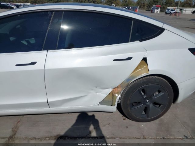 2021 TESLA MODEL 3 5YJ3E1EB5MF903301 Photo 5