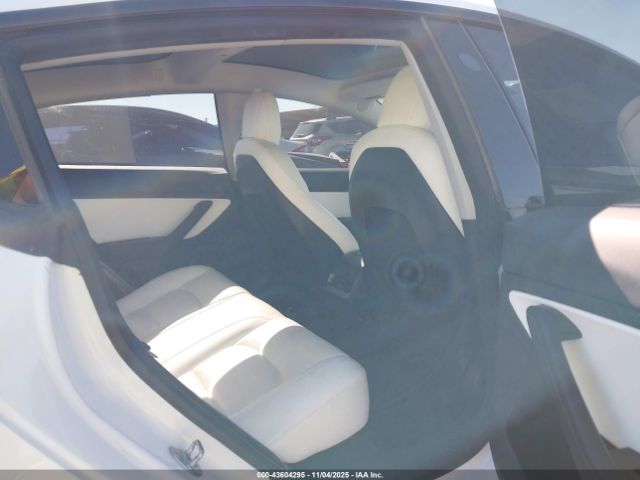 2021 TESLA MODEL 3 5YJ3E1EB5MF903301 Photo 7
