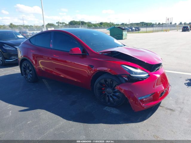2025 TESLA MODEL Y 7SAYGDEF7SA349289