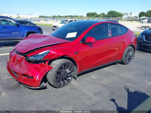 2025 TESLA MODEL Y 7SAYGDEF7SA349289 Photo 1