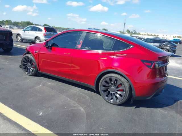 2025 TESLA MODEL Y 7SAYGDEF7SA349289 Photo 2