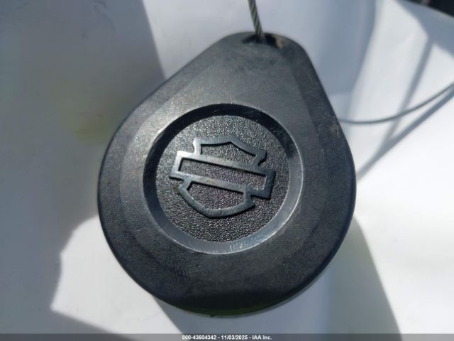 2022 HARLEY-DAVIDSON FXLRS 1HD1YWZ13NB037436 Photo 10