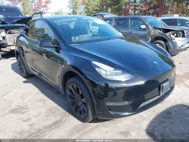 2023 TESLA MODEL Y 7SAYGDEE5PA103369