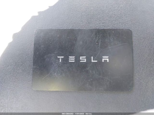 2023 TESLA MODEL Y 7SAYGDEE5PA103369 Photo 10