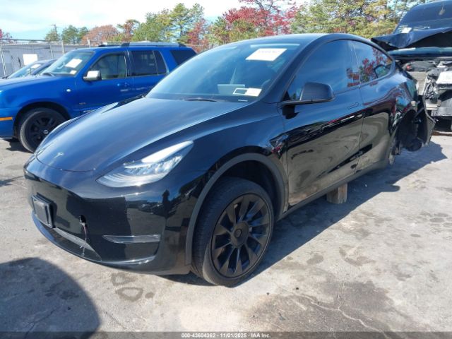 2023 TESLA MODEL Y 7SAYGDEE5PA103369 Photo 1