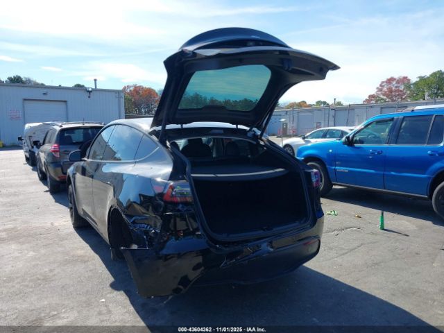 2023 TESLA MODEL Y 7SAYGDEE5PA103369 Photo 2