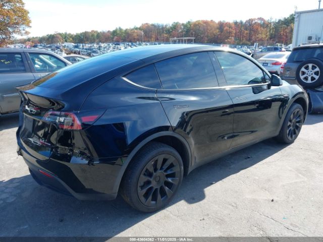 2023 TESLA MODEL Y 7SAYGDEE5PA103369 Photo 3
