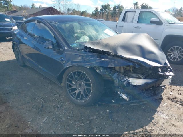 2025 TESLA MODEL 3 5YJ3E1EA0SF991193