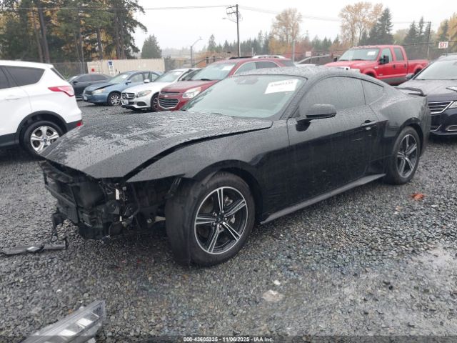 2024 FORD MUSTANG 1FA6P8TH4R5109430 Photo 1