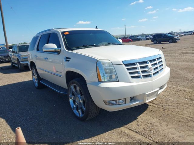 2013 CADILLAC ESCALADE 1GYS3BEF0DR138416