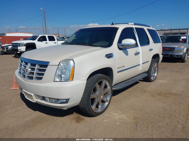 2013 CADILLAC ESCALADE 1GYS3BEF0DR138416 Photo 1