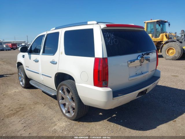2013 CADILLAC ESCALADE 1GYS3BEF0DR138416 Photo 2