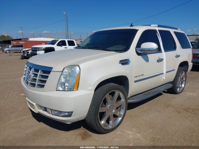 2013 CADILLAC ESCALADE 1GYS3BEF0DR138416 Photo 5