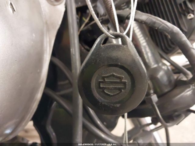 2016 HARLEY-DAVIDSON FXDLS 1HD1GS82XGC329328 Photo 10