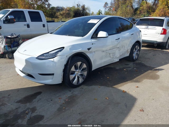 2023 TESLA MODEL Y 7SAYGDEE8PA099530 Photo 1