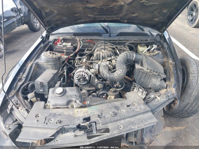 2006 FORD MUSTANG 1ZVFT80N365231740 Photo 9