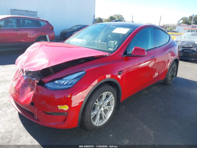 2021 TESLA MODEL Y 5YJYGAEE7MF276241 Photo 1