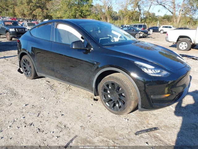 2023 TESLA MODEL Y 7SAYGDEE4PA117618 Photo 0