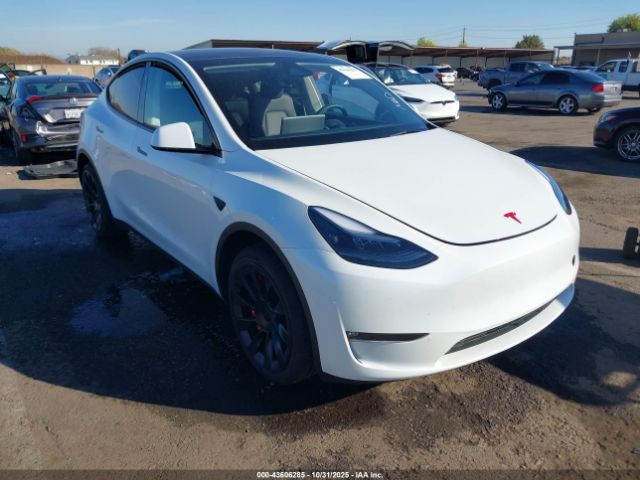 2025 TESLA MODEL Y 7SAYGDEE4SF233722 Photo 0