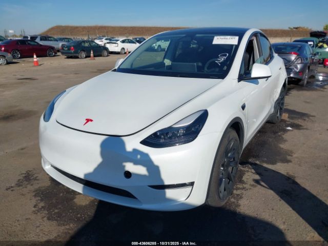 2025 TESLA MODEL Y 7SAYGDEE4SF233722 Photo 1
