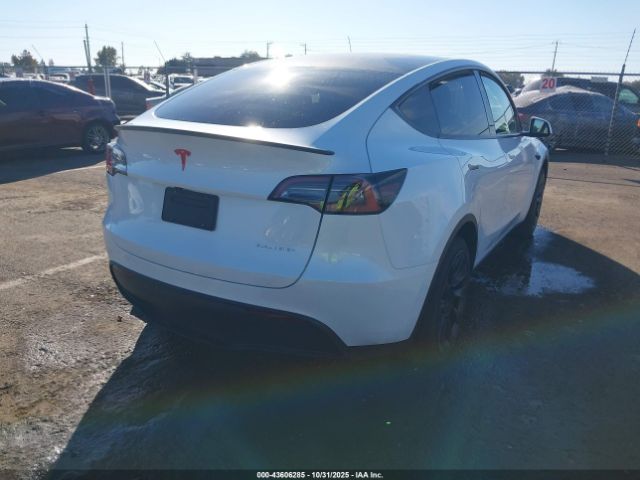 2025 TESLA MODEL Y 7SAYGDEE4SF233722 Photo 3