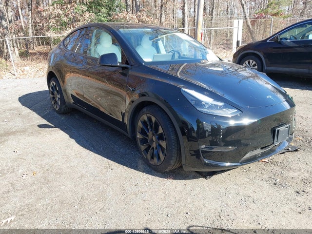 2023 TESLA MODEL Y 7SAYGAEE4PF642258 Photo 0