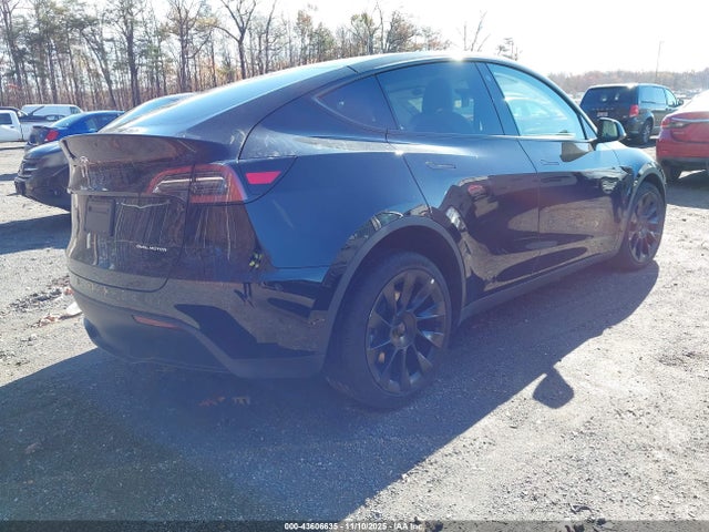 2023 TESLA MODEL Y 7SAYGAEE4PF642258 Photo 3