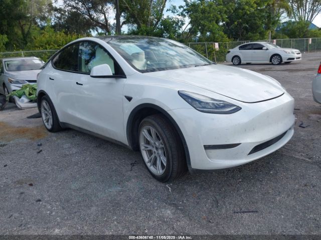 2023 TESLA MODEL Y 7SAYGDEE0PA105157 Photo 0