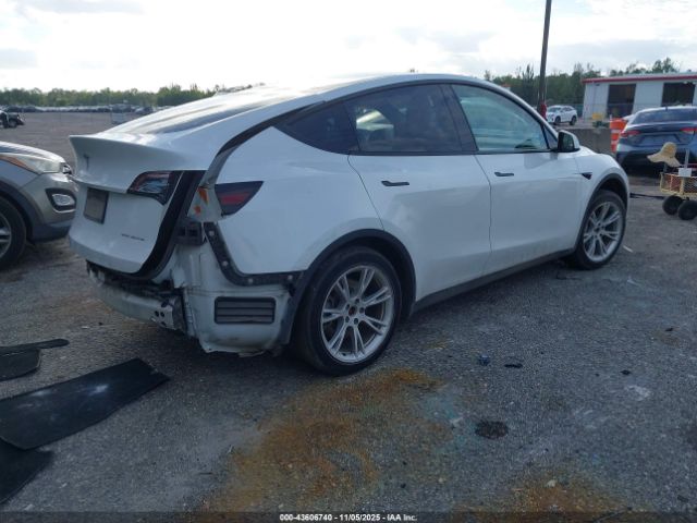 2023 TESLA MODEL Y 7SAYGDEE0PA105157 Photo 3