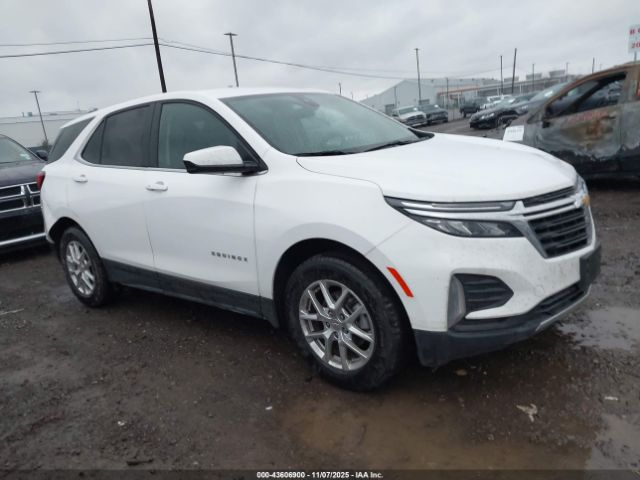 2024 CHEVROLET EQUINOX 3GNAXUEG3RL351053