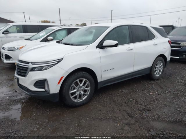 2024 CHEVROLET EQUINOX 3GNAXUEG3RL351053 Photo 1