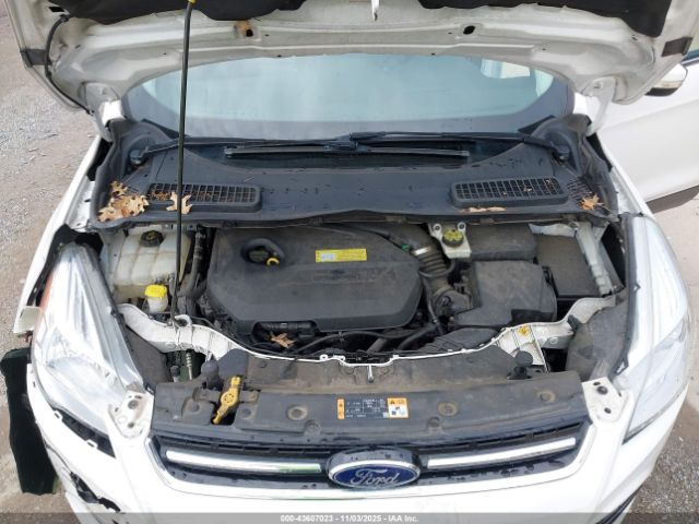 2014 FORD ESCAPE 1FMCU0JX3EUB83967 Photo 9