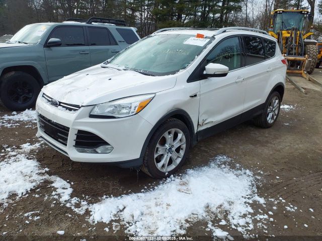 2014 FORD ESCAPE 1FMCU0JX3EUB83967 Photo 1