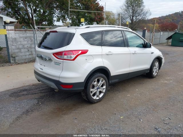 2014 FORD ESCAPE 1FMCU0JX3EUB83967 Photo 3