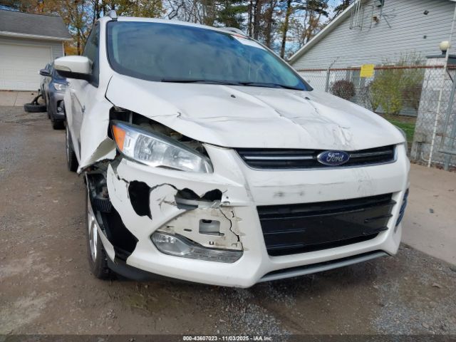 2014 FORD ESCAPE 1FMCU0JX3EUB83967 Photo 5