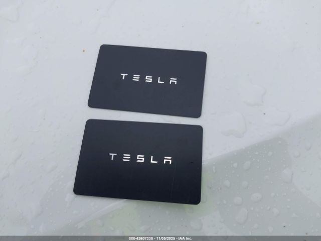 2025 TESLA MODEL 3 5YJ3E1EA2SF045211 Photo 10