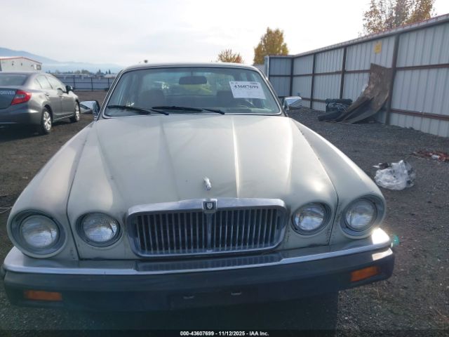 1985 JAGUAR XJ6 SAJAV1340FC394392 Photo 5