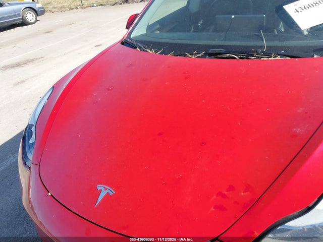 2023 TESLA MODEL 3 5YJ3E1EA7PF656083 Photo 9